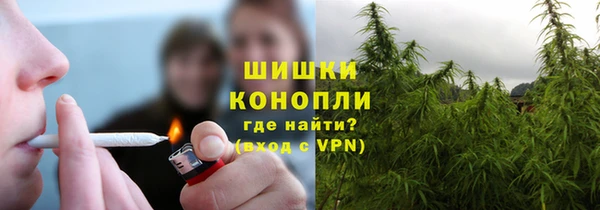 сатива Лабытнанги