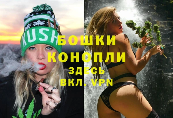 сатива Лабытнанги