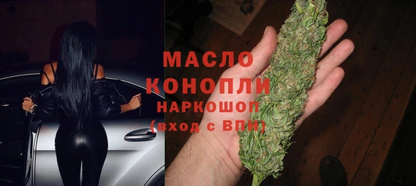 сатива Лабытнанги