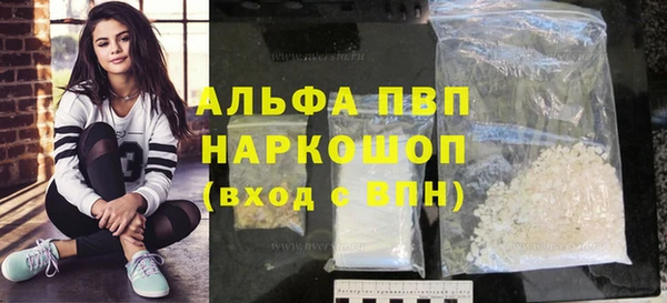 сатива Лабытнанги
