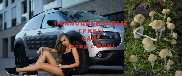 таблы Лиски