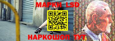 шишки Бузулук