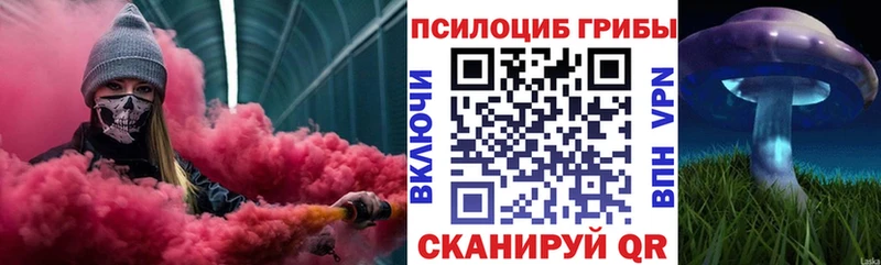 гидра ONION  Новокузнецк  Псилоцибиновые грибы Cubensis 