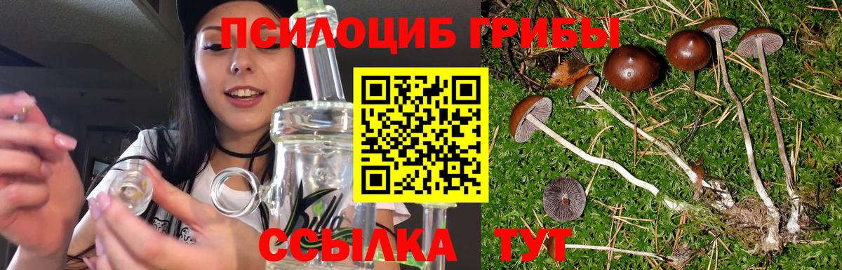 Галлюциногенные грибы мухоморы  Псилоцибиновые грибы Magic Shrooms  купить наркоту  Вход с VPN  Новокузнецк 