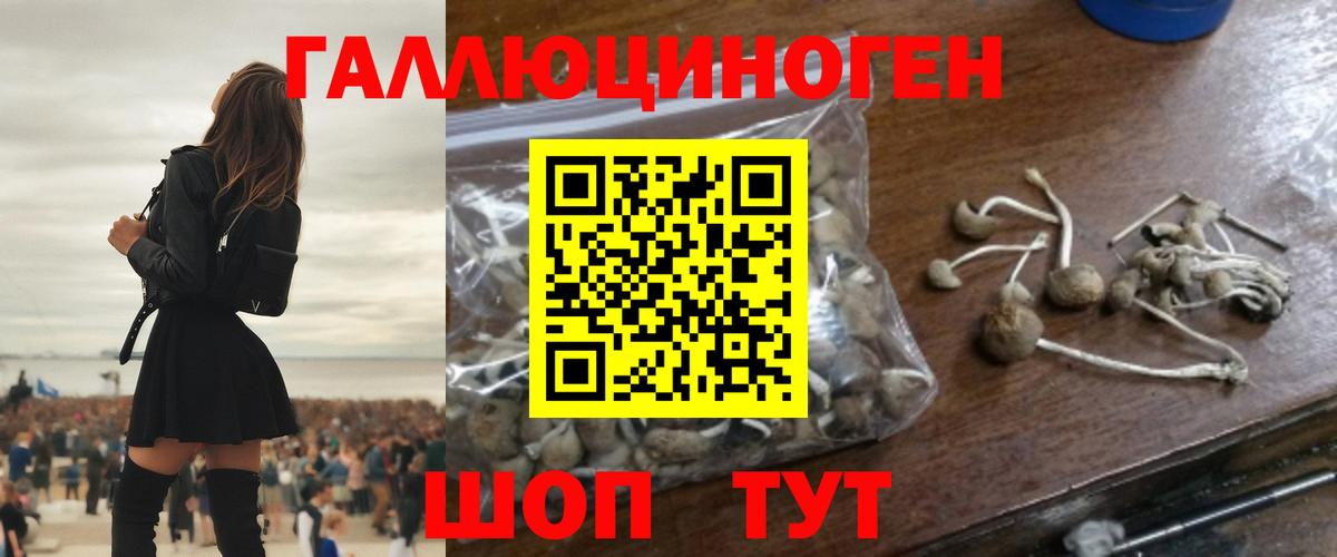 Галлюциногенные грибы MAGIC MUSHROOMS  Новокузнецк 