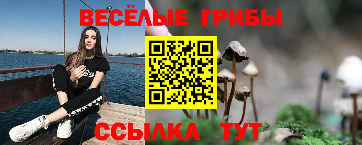 Псилоцибиновые грибы ЛСД Новокузнецк